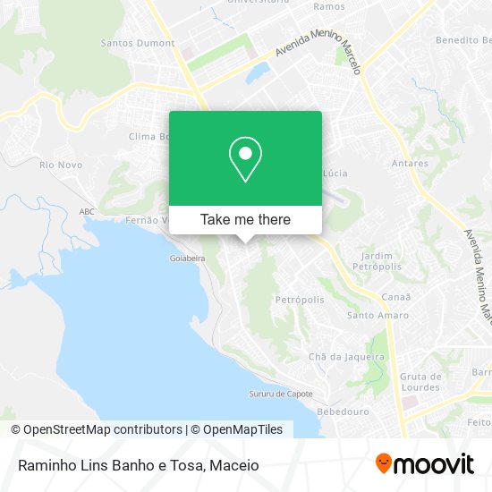 Mapa Raminho Lins Banho e Tosa