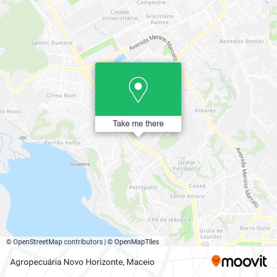 Mapa Agropecuária Novo Horizonte