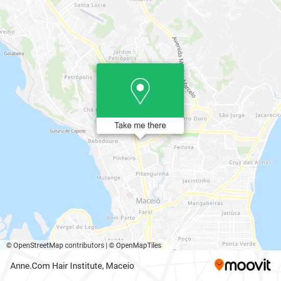 Anne.Com Hair Institute map