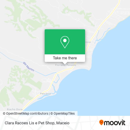 Clara Racoes Lis e Pet Shop map