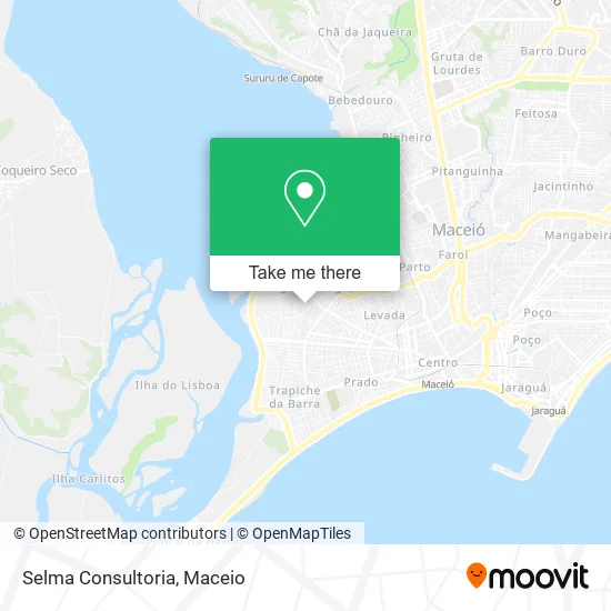 Selma Consultoria map