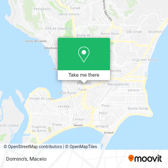 Domino's map