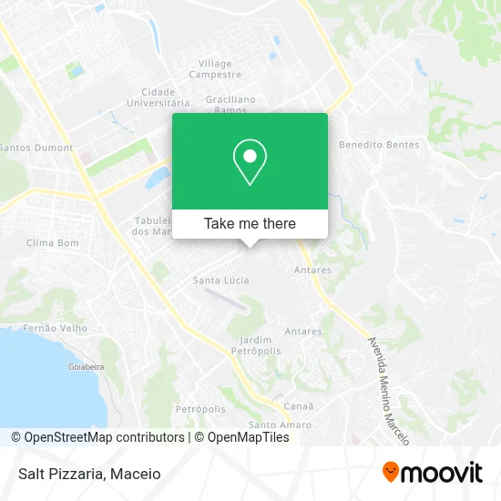 Salt Pizzaria map