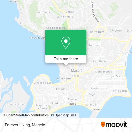 Forever Living map