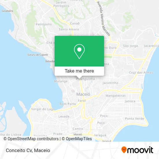 Conceito Cv map