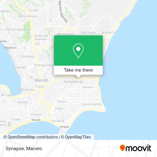 Synapse map