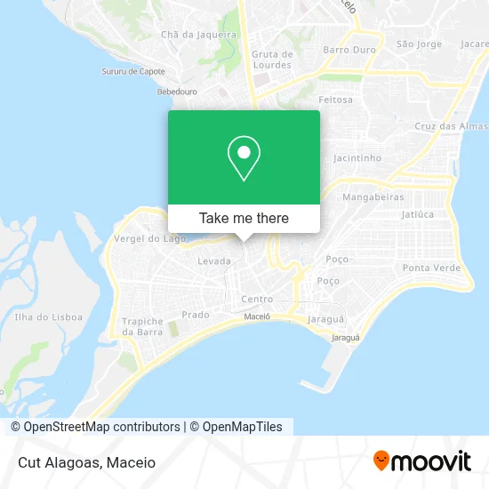 Cut Alagoas map