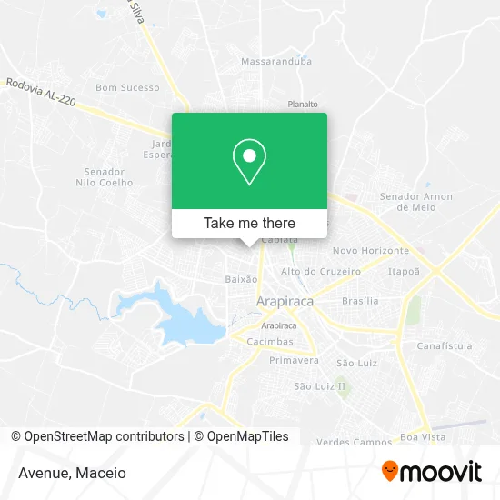Avenida map