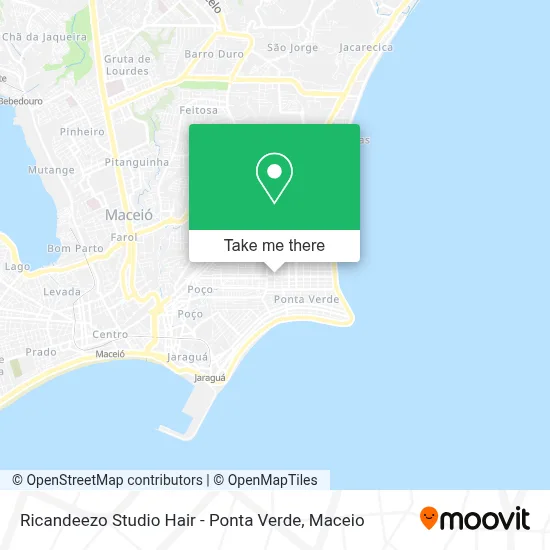 Ricandeezo Studio Hair - Ponta Verde map