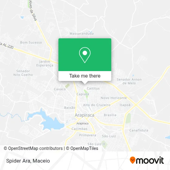 Spider Ara map
