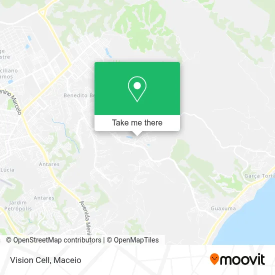 Vision Cell map
