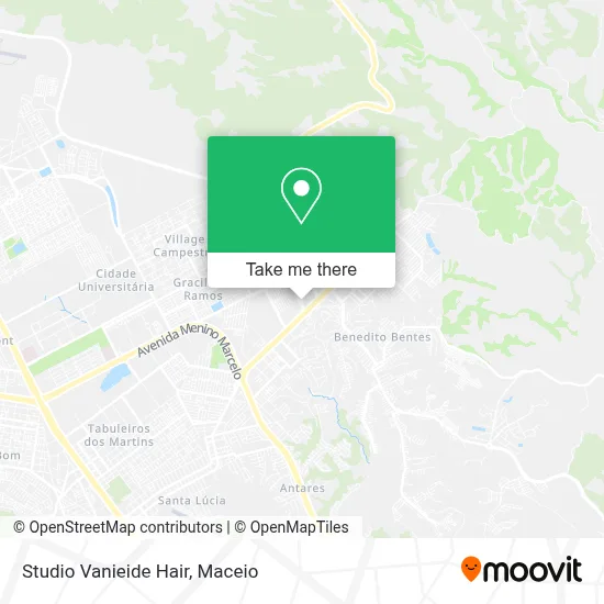 Studio Vanieide Hair map