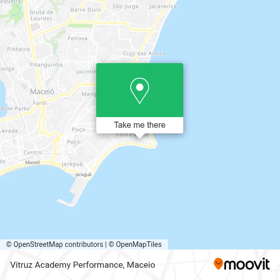 Vitruz Academy Performance map