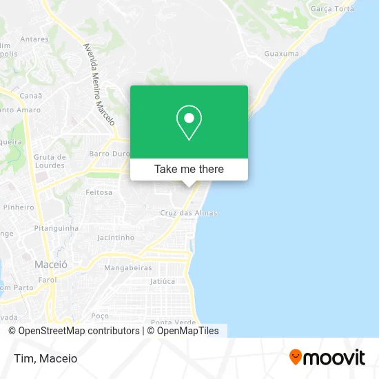 Tim map