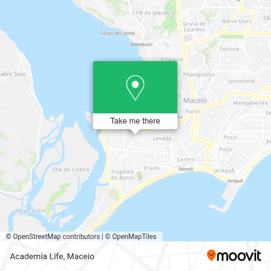 Academia Life map