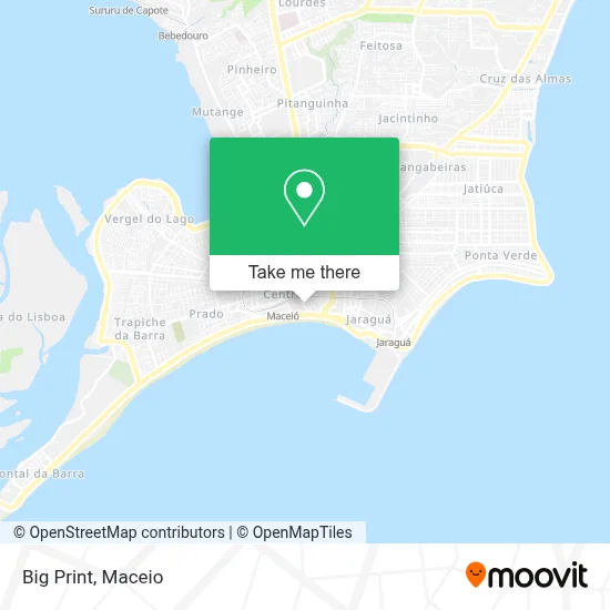 Big Print map
