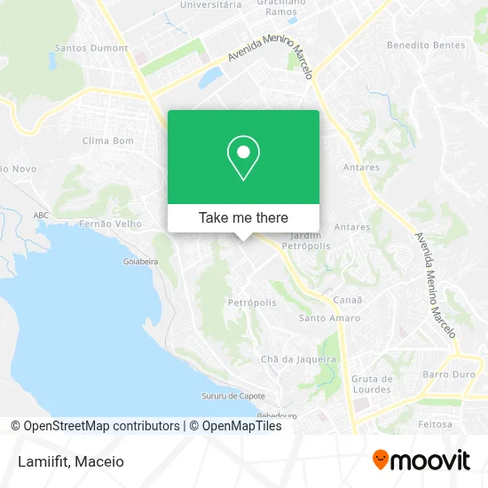 Lamiifit map