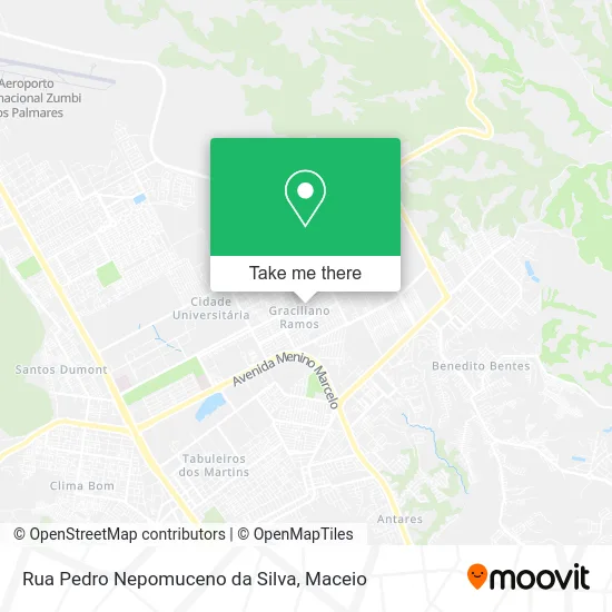 Rua Pedro Nepomuceno da Silva map