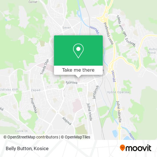 Belly Button map