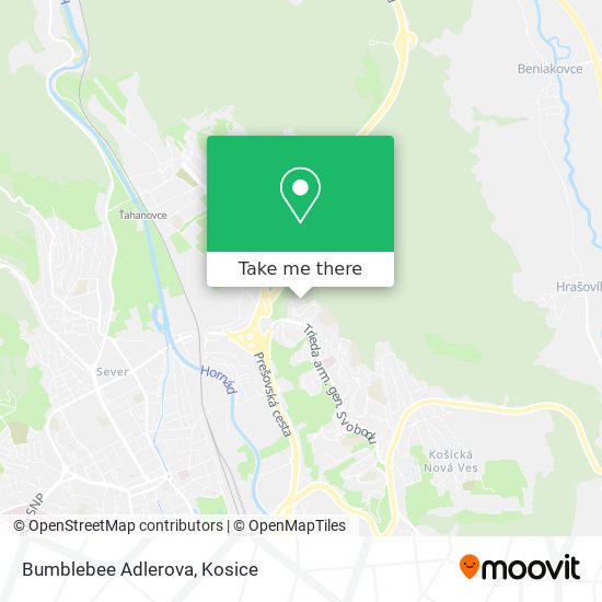 Bumblebee Adlerova map