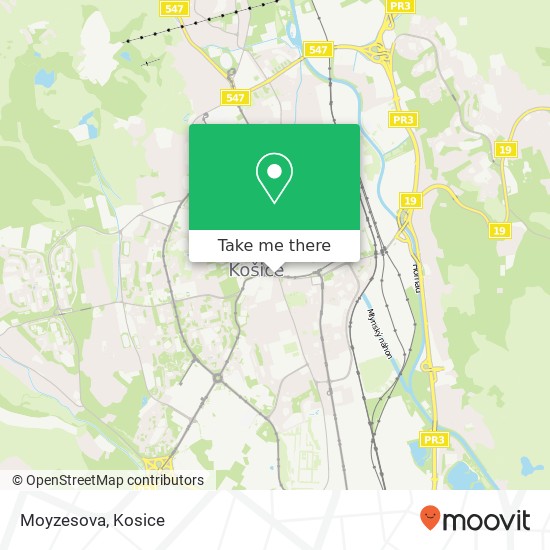 Moyzesova map