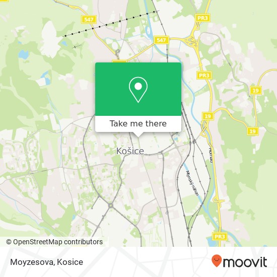 Moyzesova map