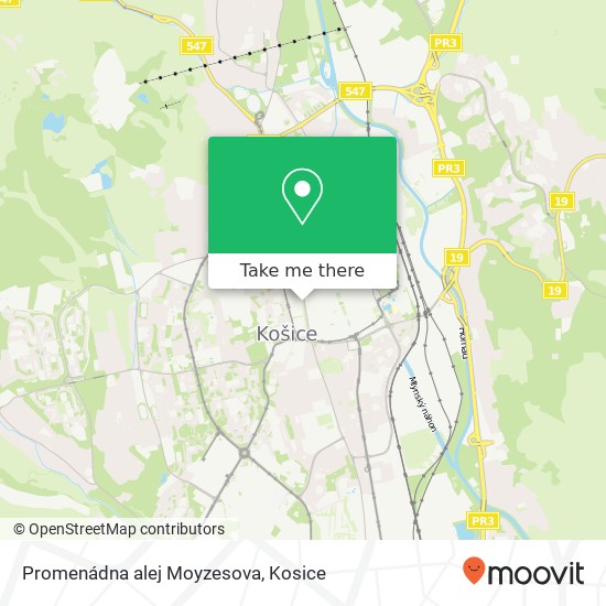 Promenádna alej Moyzesova map