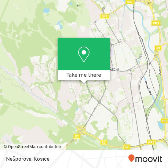 Nešporova map