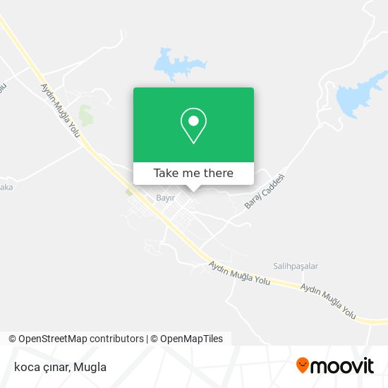 koca çınar map