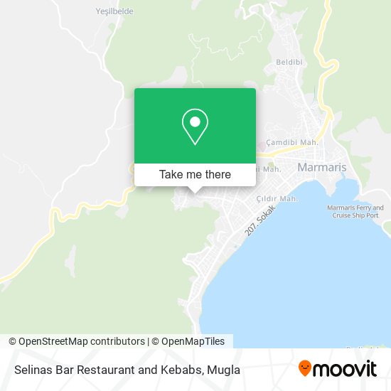 Selinas Bar Restaurant and Kebabs map