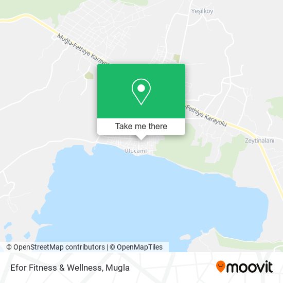 Efor Fitness & Wellness map