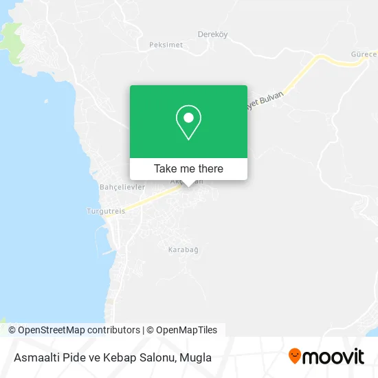 Asmaalti Pide ve Kebap Salonu map