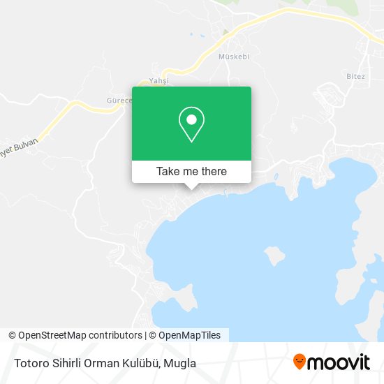 Totoro Sihirli Orman Kulübü map