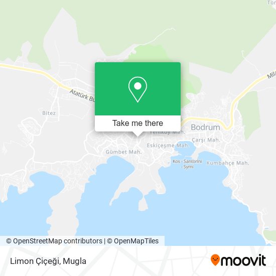 Limon Çiçeği map