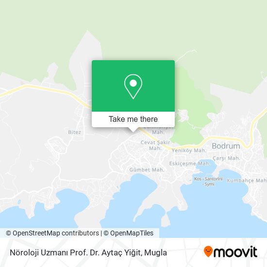 Nöroloji Uzmanı Prof. Dr. Aytaç Yiğit map