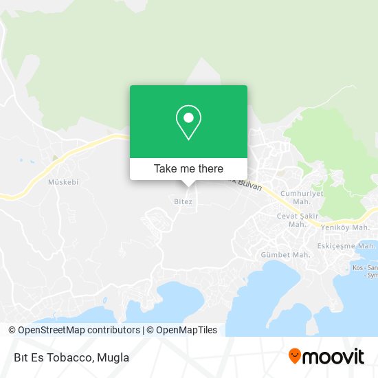 Bıt Es Tobacco map