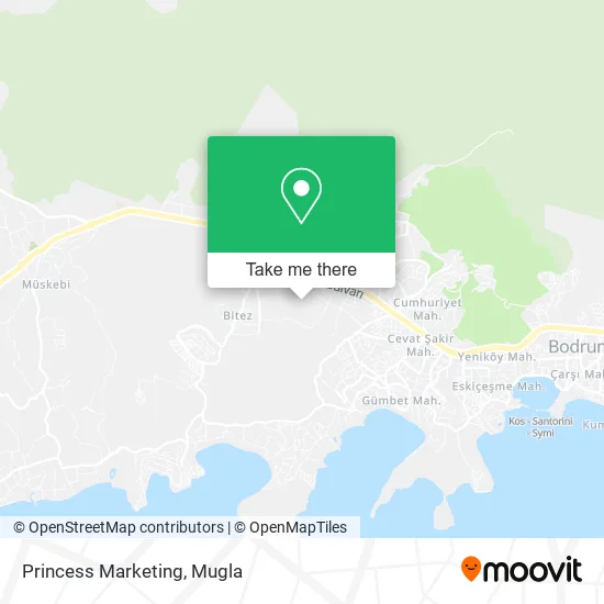 Princess Marketing map