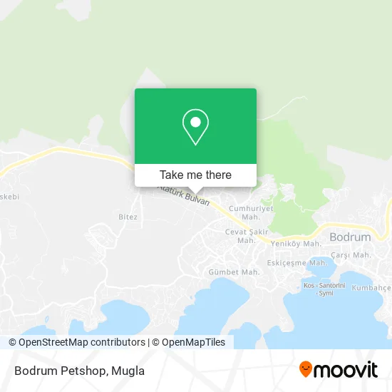 Bodrum Petshop map