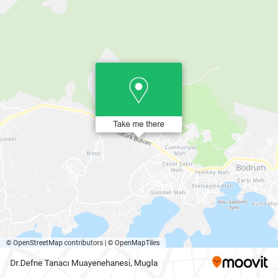 Dr.Defne Tanacı Muayenehanesi map