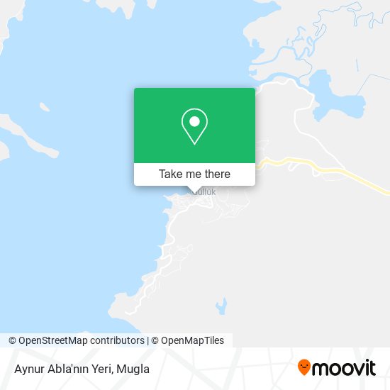 Aynur Abla'nın Yeri map
