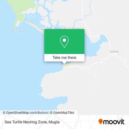 Sea Turtle Nesting Zone map