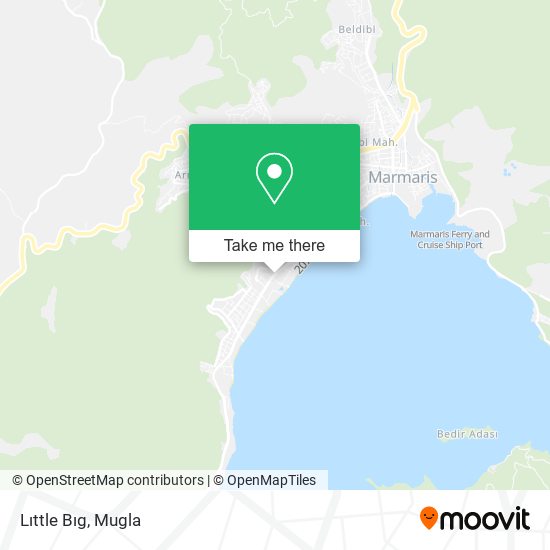 Lıttle Bıg map