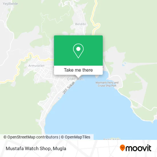 Mustafa Watch Shop map