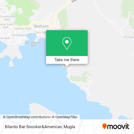 Bilardo Bar Snooker&American map