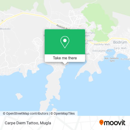 Carpe Dıem Tattoo map
