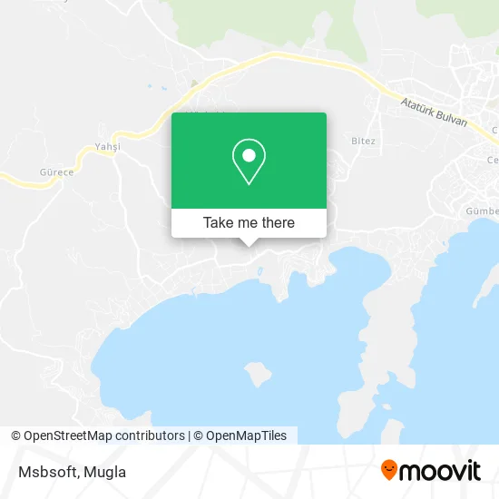 Msbsoft map