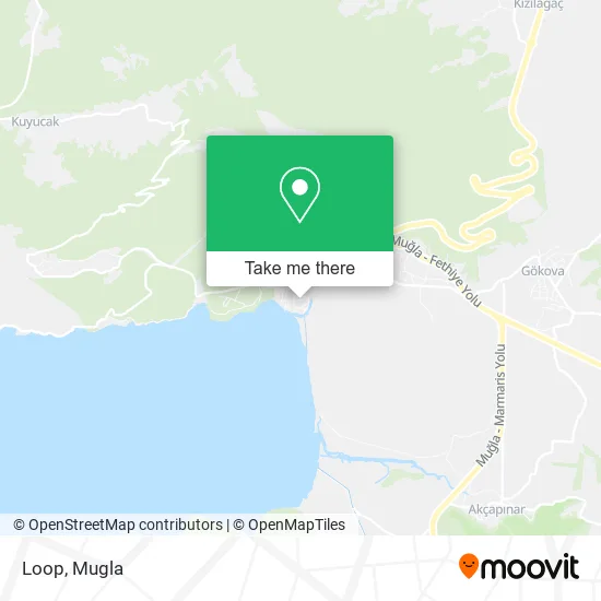 Loop map