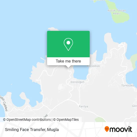 Smiling Face Transfer map