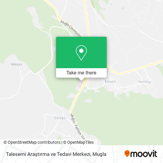 Talesemi Araştırma ve Tedavi Merkezi map