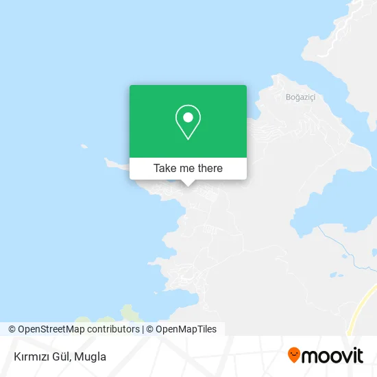 Kırmızı Gül map
